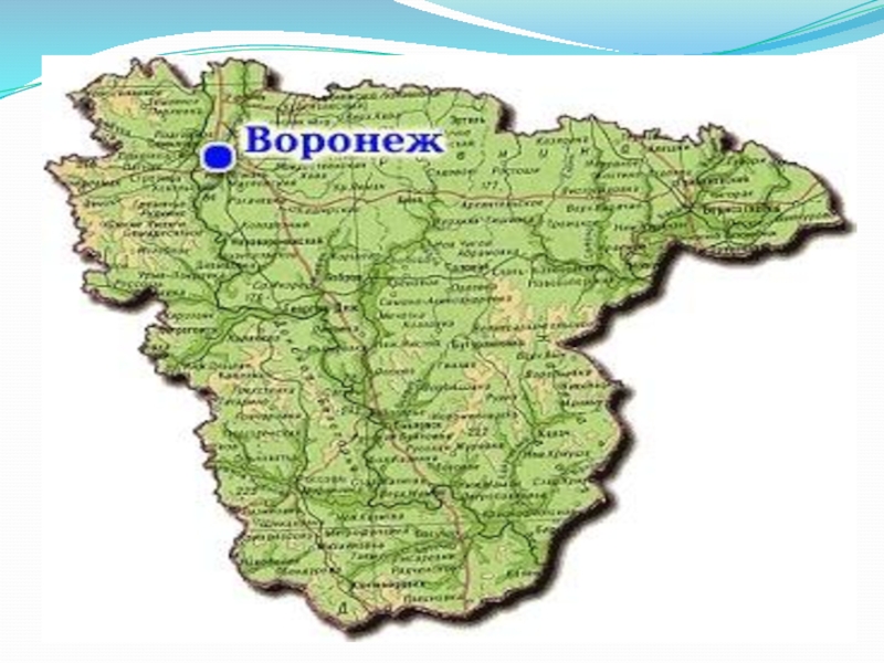 Где Можно Купить В Воронежской Области