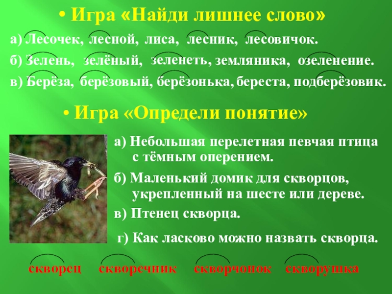 Скворец проверочное. Лесные слова. Лишнее слово лес Лесник Лесная Лесной. Проект Лесные слова.