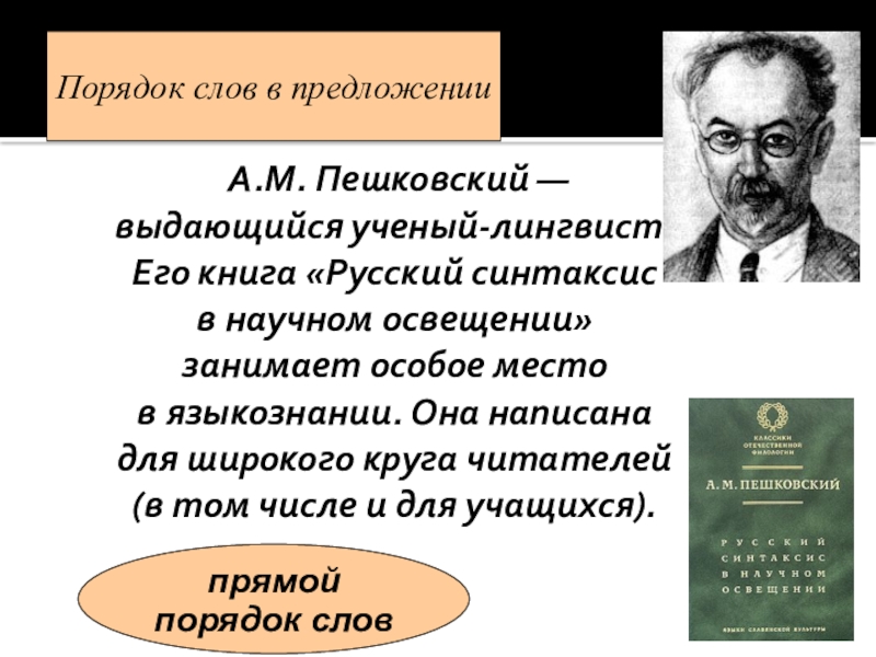 Русские лингвисты о синтаксисе проект 8 класс