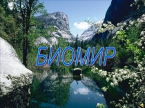 Презентация по биологии 9 класс