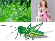 Презентация Угадай песню по картинке