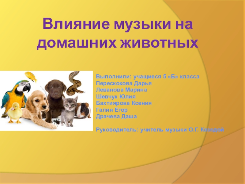 Презентация Проектная деятельность на тему Влияние музыки на домашних животных2