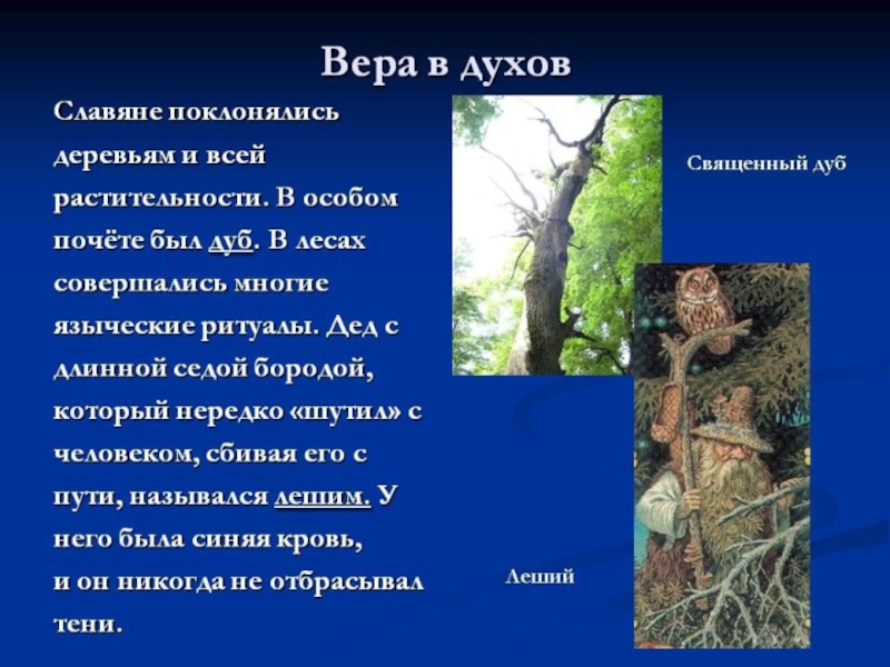 Жители обожествляли и лес. Как поклоняться дереву. Кто поклоняется деревьям. Вера в духов. Люди поклонялись деревьям и его срубил свита.