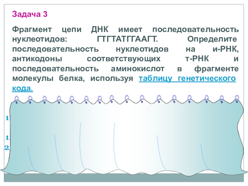 Фрагмент цепи днк имеет. Фрагмент цепи ДНК имеет последовательность нуклеотидов ГТГТАТГГААГТ. Фрагмент цепи имеет последовательность нуклеотидов ГТГТАТГГААГТ. Фрагмент цепи ДНК имеет последовательность нуклеотидов ЦТГЦАТТААГГТ. Фрагмент цепи ДНК имеет последовательность нуклеотидов тггагтгатта.