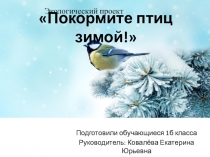 Экологический проект Покормите птиц зимой!