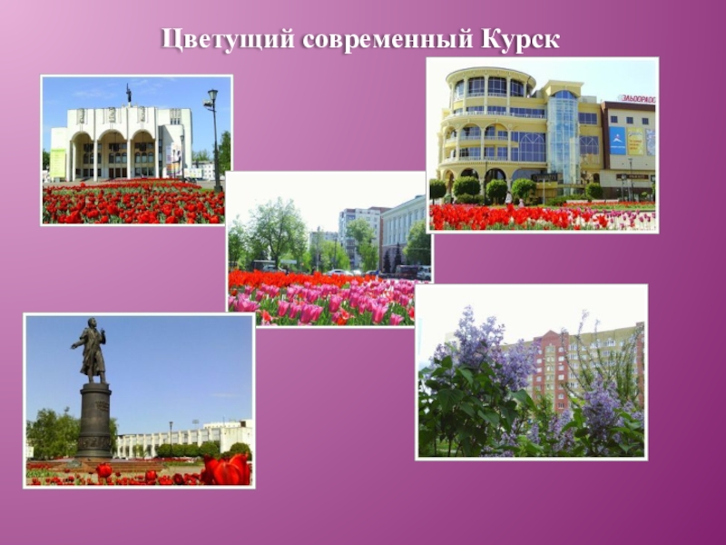 Проект про город курск