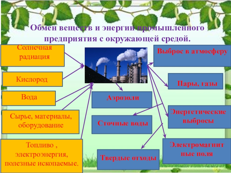 Реферат: Составляющие окружающей среды