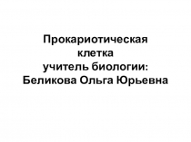 Презентация для 10 класса: Прокариотическая клетка (с помощью кластеров)