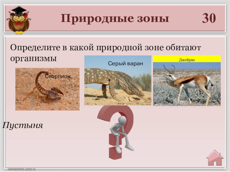 В какой природной зоне обитает. Варан природная зона обитания. В какой природной зоне обитает Варан. В какой природной зоне обитает Скорпион. В какой природной зоне ящерица.