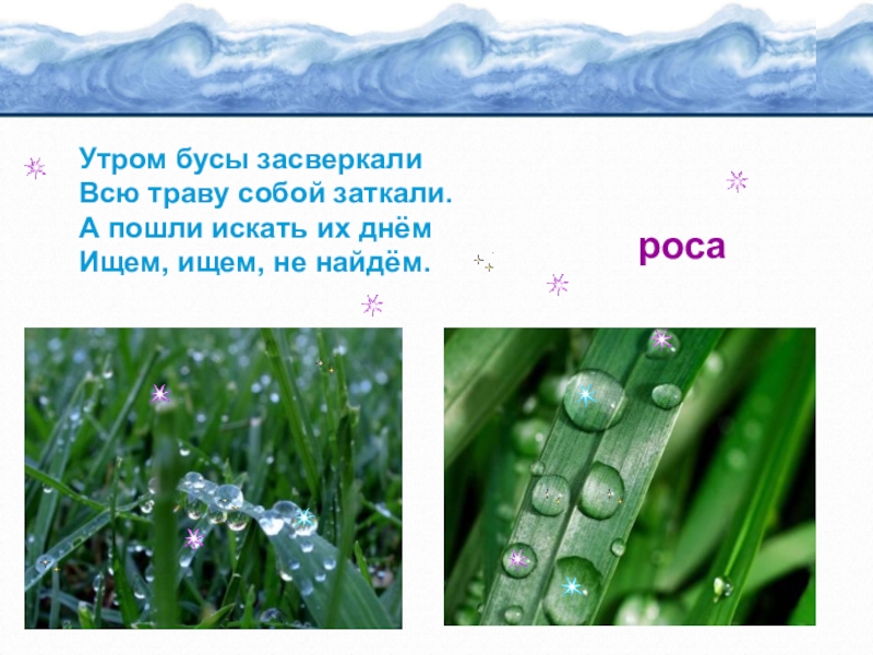 Найдите россу. Утром бусы засверкали. Роса презентация. Утром бусы засверкали всю траву собой заткали а пошли. Вода мокрая небо голубое.