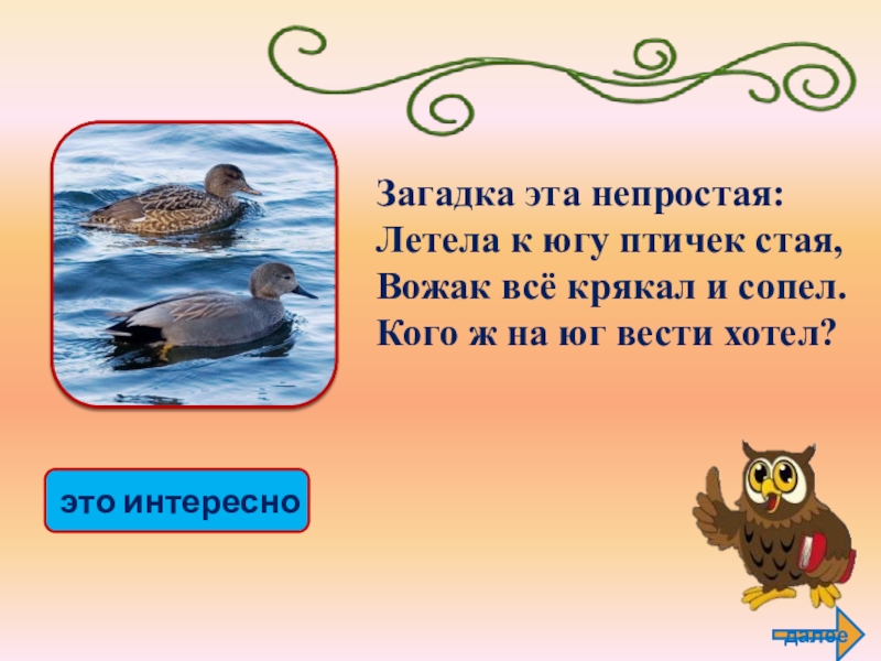 Загадка стая. Загадка о стайке птиц. Загадка про улетающих птиц на Юг. Загадка про Юг. Загадки про улетающих птиц.