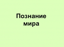 Презентация по обществознанию : Познание мира для 11 класса