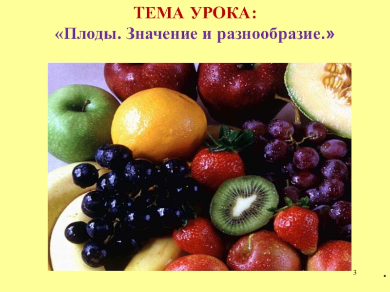 Какое значение плодов. Плоды разнообразие плодов. Разнообразие цветов и плодов. Тема урока плоды. Плоды в жизни человека.