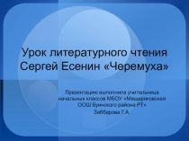 Презентация урока литературного чтения С ЕсенинЧерёмуха