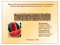 Презентация по биологии Арбуз