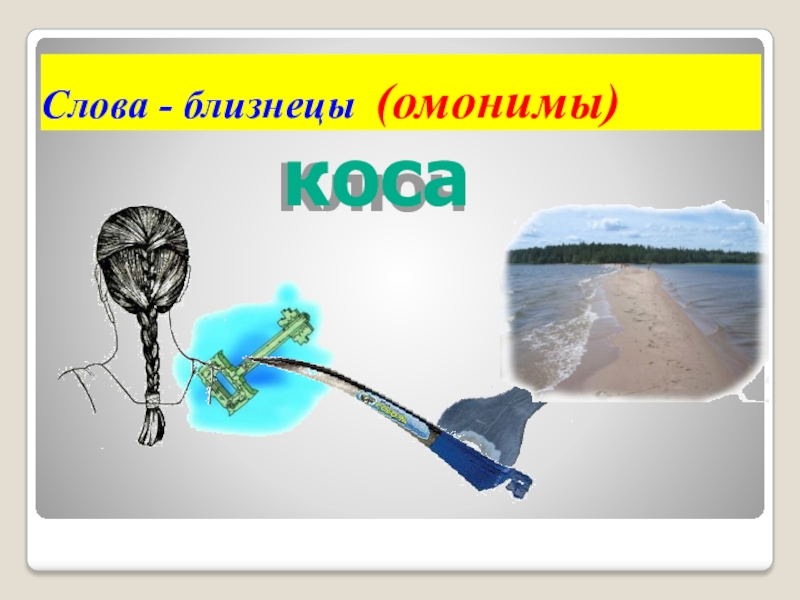 Тихий омонимы. Слова омонимы. Слова Близнецы. Омонимы картинки. Что такое омонимы в русском языке.