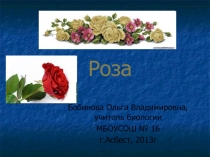 Презентация к факультативному занятию Роза в мифах и легендах