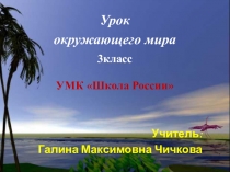 Презентация по окружающему миру на темуРазнообразие животных Школа России