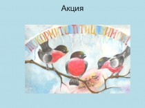 Презентация отчета проведения акции на тему Покормите птиц зимой
