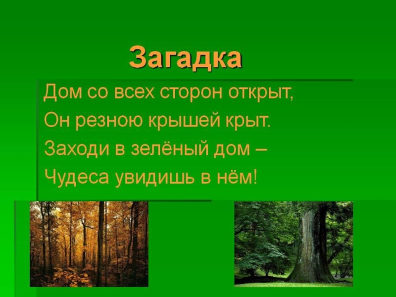 Презентация Презентация по окружающему миру на тему: Леса России (3 класс)
