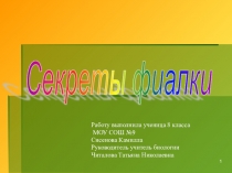 Исследовательский проект Секреты фиалки