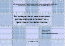Характеристика компонентов развивающей предметно – пространственной среды.
