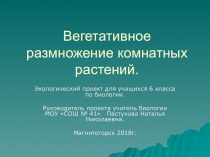 Презентация Экологический прект по биологии Вегетативное размножение