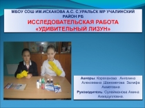 Презентация к проекту Удивительный лизун