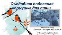 Презентация Съедобная подвесная кормушка для птиц