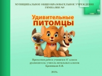 Проектная работа Удивительные питомцы