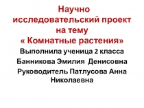 Презентация к уроку окружающий мир 2 класс Комнатные растения