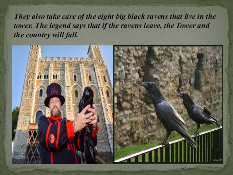 The ravens are the unique. Тауэр в Лондоне вороны. Вороны в лондонском Тауэре. Бифитеры Тауэра с вороном. Стражники Тауэра.