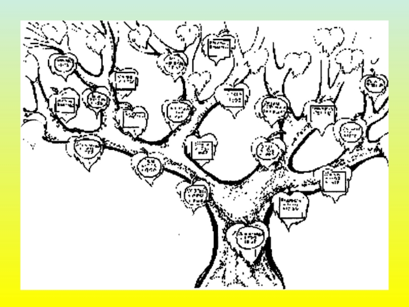 Рисунок семейного дерева. Эскиз семейного древа. Нарисуй свое генеалогическое Древо. Рисунок на тему дерево семьи. Схема рисования семейного древа.