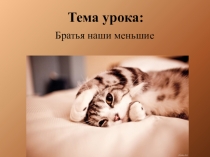 Презентация по изобразительному искусству на тему Рисование животных(2 класс)