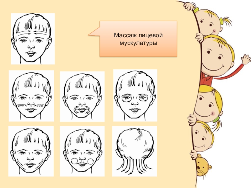 Массаж лицевой мускулатуры