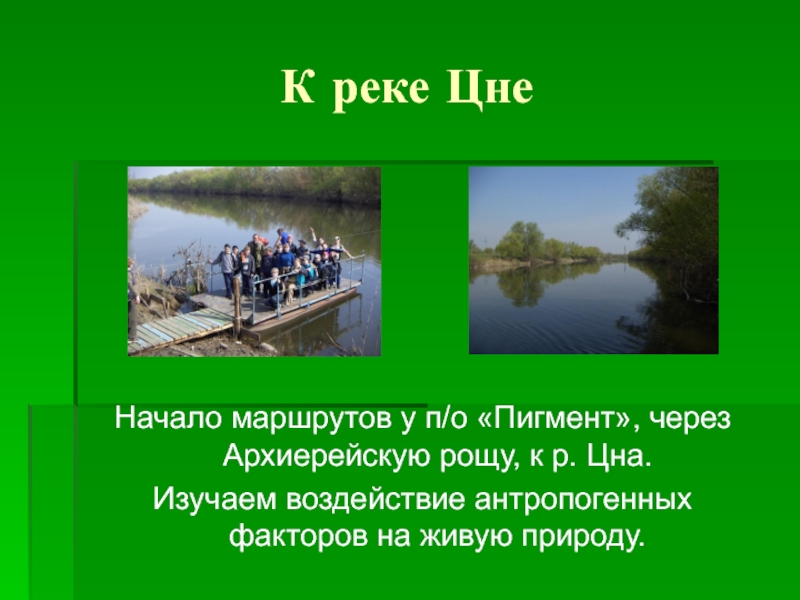 Как люди влияют на реку. Использование реки Цны человеком. Доклад река Цна. Сообщение про реку Цну. Река Цна использование реки человеком.