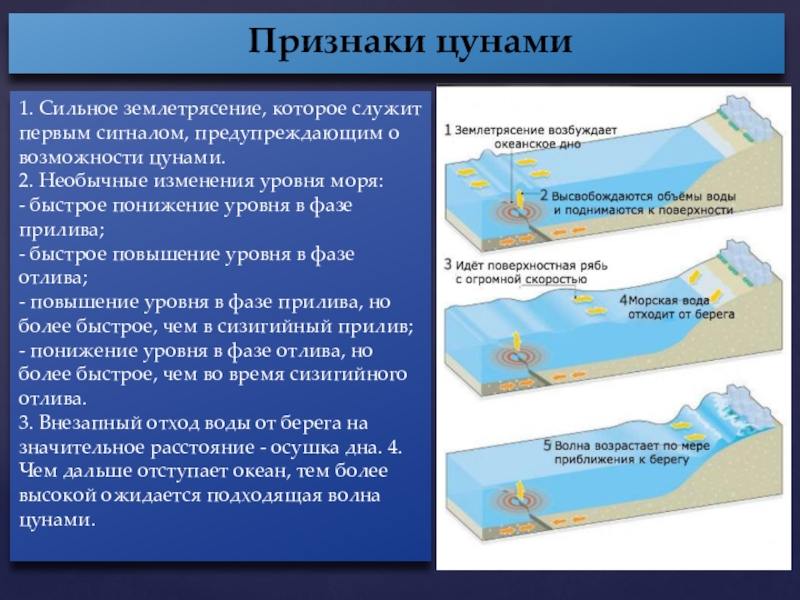 Презентация цунами обж