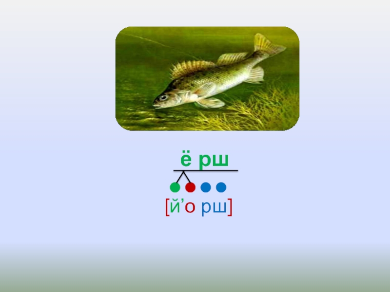 Ерш звуковая схема