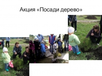 Презентация по экологическому воспитанию Здравствуй дерево!