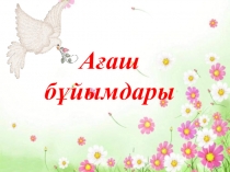 Презентация Ағаш бұйымдары 2 сынып