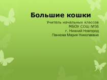Презентация для урока окружающий мир Большие кошки
