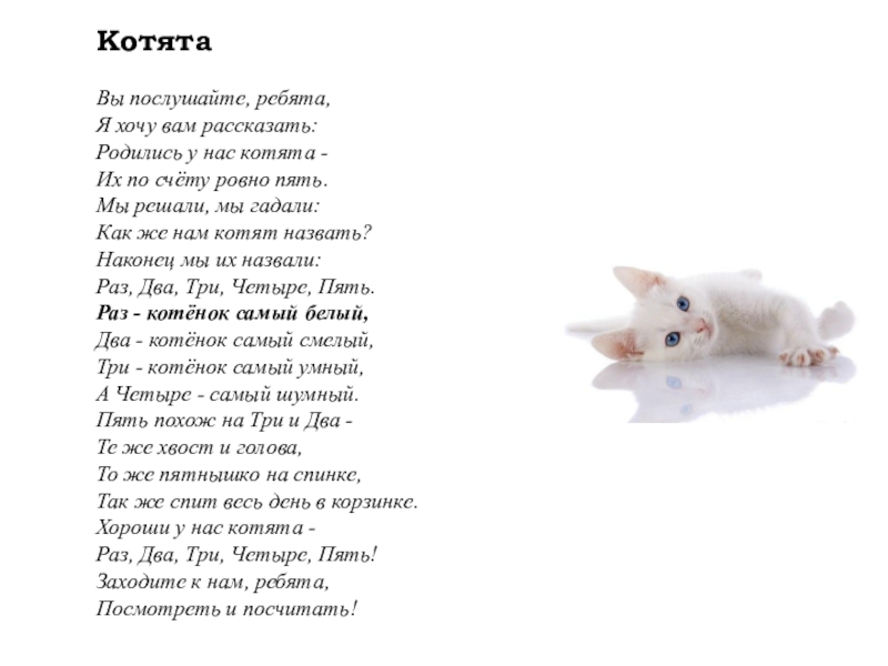 Котенок стих текст. Стих про 5 котят Михалков. Стихотворение котята.