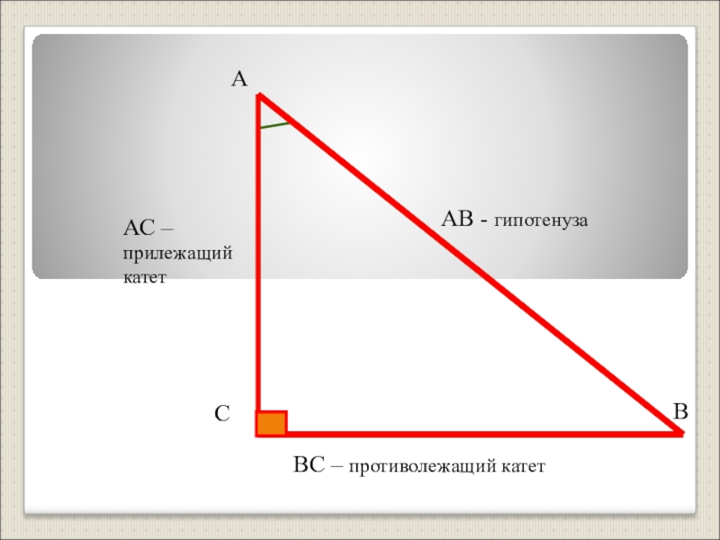 Прямоугольный треугольник прилежащий. Прилежащий катет к гипотенузе. Прилежащий катет и противолежащий катет. Противолежащий катет к гипотенузе. Гипотенуза прилежащий противолежащий катет.