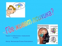 Презентация Где живет психика
