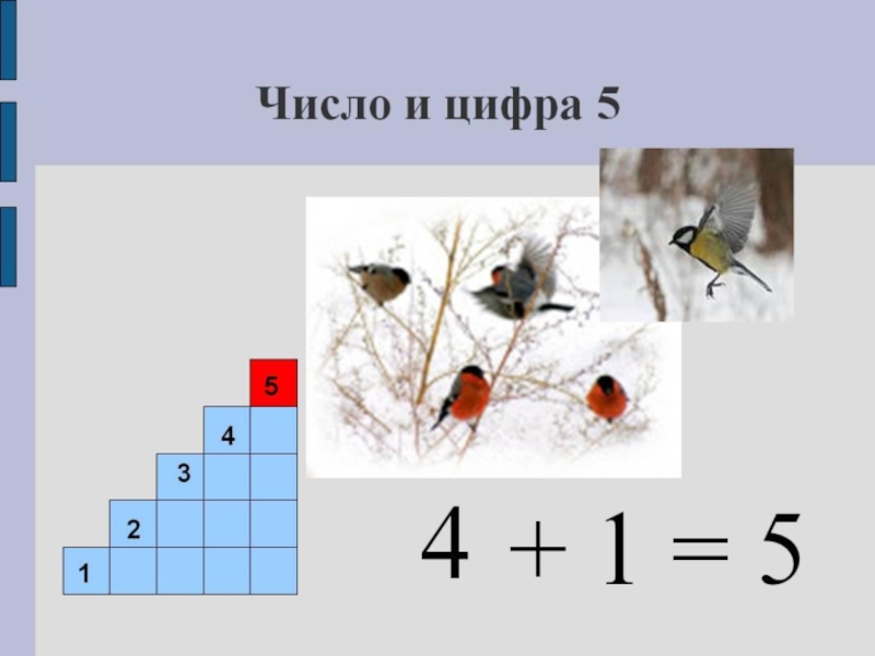 Презентация число 5. Число и цифра 5. Число и цифра 5 презентация. Цифра 5 для презентации. Урок число и цифра 5.