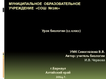 Презентация по биологии Эволюция человека, основные этапы.