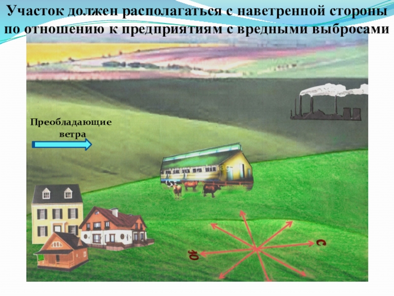 Обязую участки. Располагаться с наветренной стороны. Подветренная сторона. Находится с наветренной стороны. Подветренная сторона по отношению к населенному пункту.