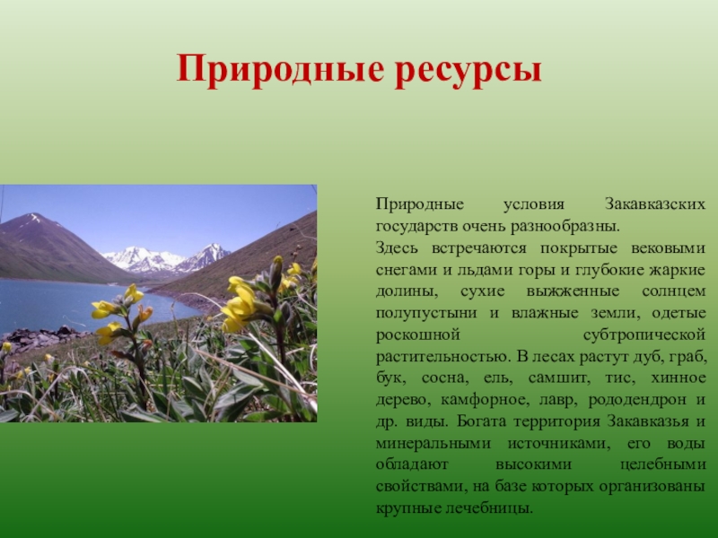 Природные ресурсы азербайджана. Природные условия Закавказья. Природные ресурсы Закавказья. Особенности стран Закавказья. Особенности природы стран Закавказья.