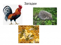 Презентация к интегрированному уроку по природоведению и развитию речи (2 класс)