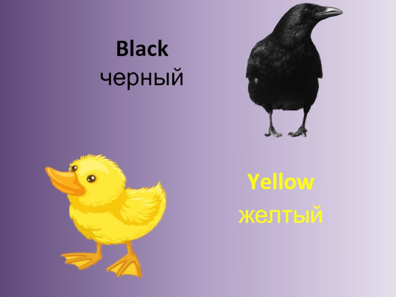 Black черныйYellowжелтый
